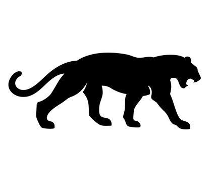 Roaring Black Panther Vector illustration. Isolated on white background
