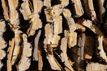 detail of insect hotel