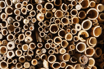 detail of insect hotel