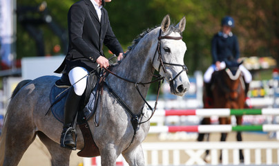 Horse rider with rider before the jumping competition in close-up while rode off..