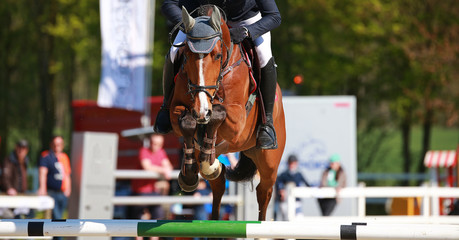 Horse brown with rider in flight over the obstacle photographed from the front..