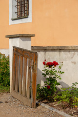 Red roses by wooden fence next to a yellow house