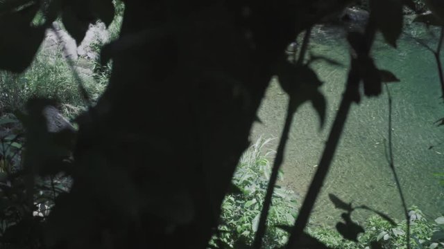 SLOW MOTION: watching from behind some shrubbery as a girl walks into the base of Mango Waterfall in Adjuntas, Puerto Rico.