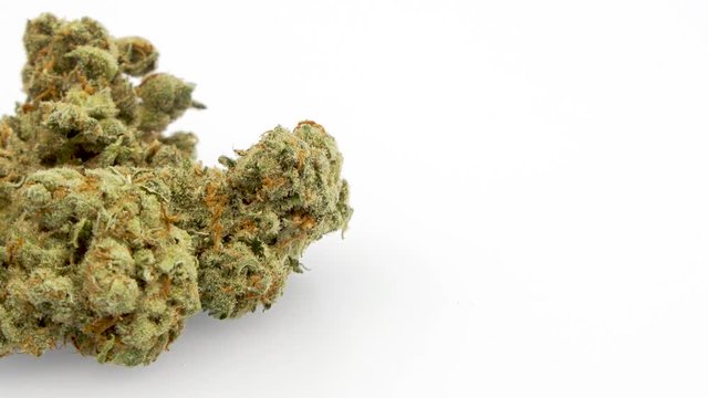 Looping 360 Degree Rotation of the Marijuana Strain, Jack Herer, 
Half Off, Left Screen, in 4K Ultra HD Resolution 3840 x 2160