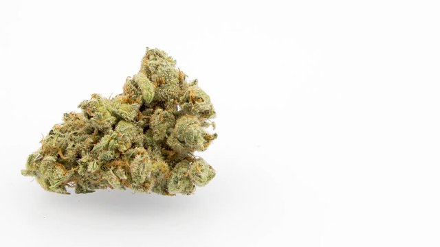 Looping 360 Degree Rotation of the Marijuana Strain, Jack Herer, 
Single Bud, Left Screen, in 4K Ultra HD Resolution 3840 x 2160
