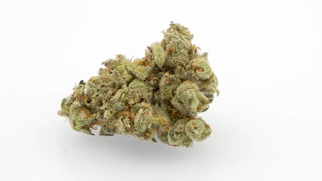 Looping 360 Degree Rotation of the Marijuana Strain, Jack Herer, 
Single Bud, Center Screen, in 4K Ultra HD Resolution 3840 x 2160