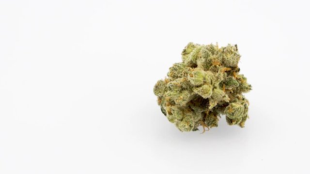 Looping 360 Degree Rotation of the Marijuana Strain, Jack Herer, 
Single Bud, Right Screen, in 4K Ultra HD Resolution 3840 x 2160