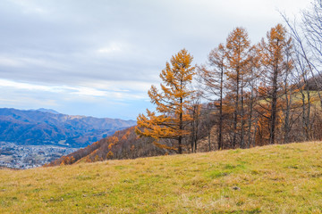 Fototapeta premium Beautiful landscape view of autumn leaves in Hakuba, Nagano Prefecture Japan.