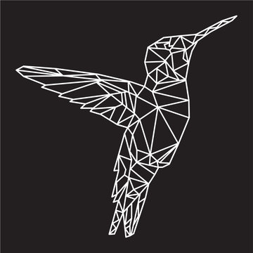 Geometric Colibri Bird Vector Illustration