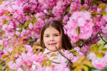 Allergy remedy. Child enjoy life without allergy. Sniffing flowers. Get rid of seasonal allergy. Girl enjoying floral aroma. Pollen allergy concept. Kid on pink flowers sakura tree background