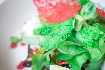Obraz na płótnie Canvas Delicious salad of fresh parsley leaves, fried eggplant, pomegranate berries
