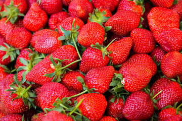 red ripe juicy strawberries on the market showcase fresh crop, selective focus background