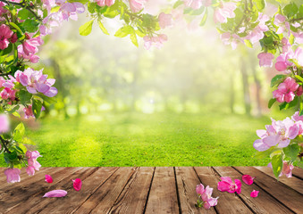 a spring flowers background, pink blossoms on wooden table