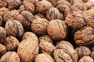 fresh wallnuts texture