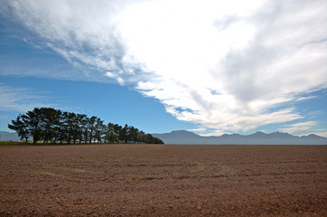 farmland field ploughed showing barren sand and sod pasture