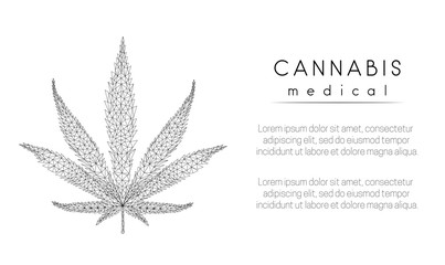 Medical cannabis. Marihuana leaf. Low poly style design.