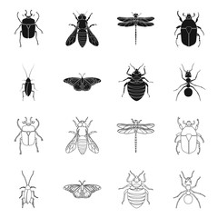 Fototapeta na wymiar Vector illustration of insect and fly symbol. Set of insect and element vector icon for stock.