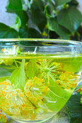 Fototapeta na wymiar Fresh lime tea. Herbal tea. Keto diet Keto drinks.