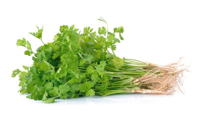 Fresh coriander (cilantro) with roots on white background