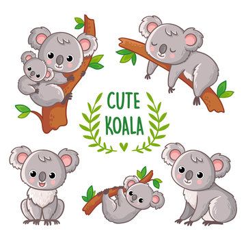 Koala Vector Images – Browse 35,154 Stock Photos, Vectors, and Video |  Adobe Stock
