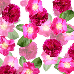 Beautiful floral background of peony and rose hip. Isolated