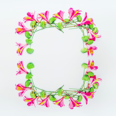 Frame of pink and green exotic flowers on white background, top view. Copy space. Floral frame. Flat lay