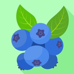 Fresh billberry icon. Flat illustration of fresh billberry vector icon for web design