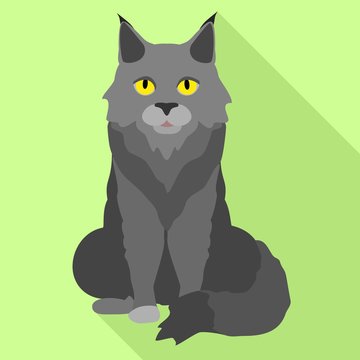 Grey maine coon icon. Flat illustration of grey maine coon vector icon for web design