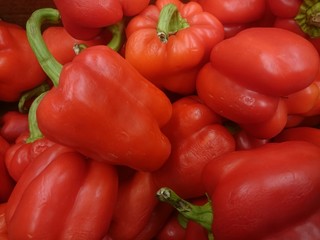Orange, green and yellow sweet mix bell peppers close up bulgarian pepper fresh, assorted colorful capsicum paprika