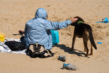 cane in spiaggia © AP
