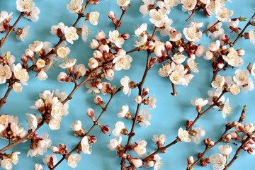 background with flowers