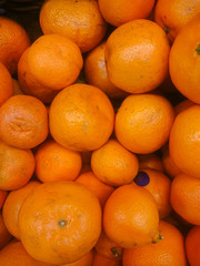 background of juicy ripe oranges freshly picked from the orchard tree