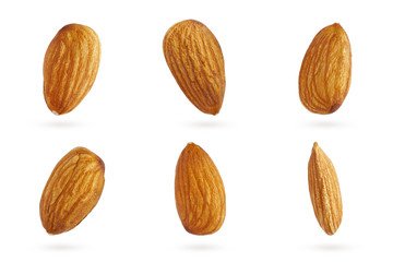 Almonds Collection. Almond Kernels Isolated on White Background