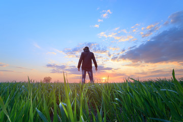 Fototapeta premium people wheat field sunset / landscape spring field agriculture of Ukraine