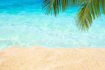 Fototapeta na wymiar Coconut leaf and beautiful sea background in summer.