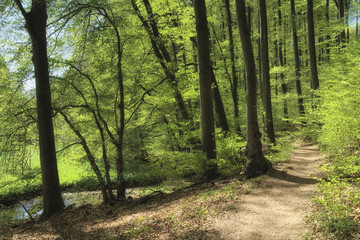 Bad Münder - Walterbachtal am Deister, Deutschland
