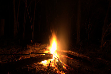 The Campfire