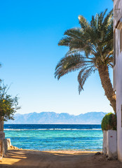 Coast of the Red Sea, in Gulf of Aqaba, near Dahab.Egypt © Kotangens