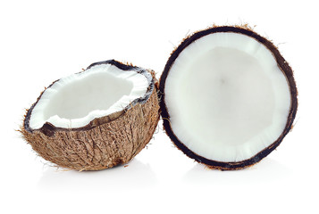 Coconut isolated on white background