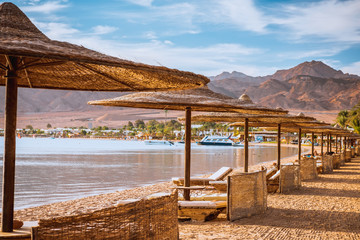 Relax under parasol on the beach of Red Sea, Egypt - obrazy, fototapety, plakaty