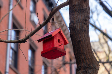 Red Bird Box | New York | USA