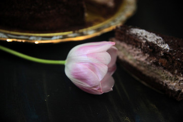 Truffle chocolate cake