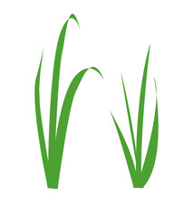 Simple  illustration of fresh green grass, two bush. Can be used for postcards, flyers and posters. Garden element, ecology sign