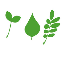 Set simple illustration of three fresh green tree leaf . Can be used for postcards, flyers and posters. Garden element, ecology sign
