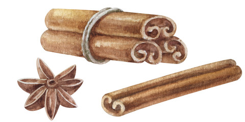 Watercolor hand painted spices for chocolate and baking. Set badian, cinnamon isolated on white