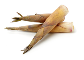 Bamboo shoot on the white background 