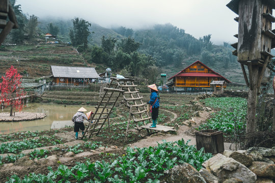 two women are working in the garden in CatCat village, Vietnam. Rural life of the Vietnamese hinterland. Hard agricultural work