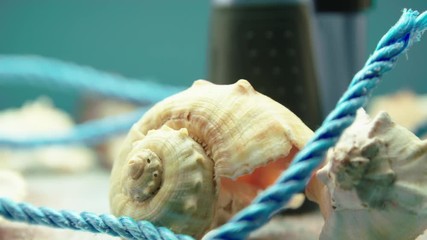 Close-up video of sea shells and blue rope, surrounded by beach sand, on a turntable display with binoculars in the background.