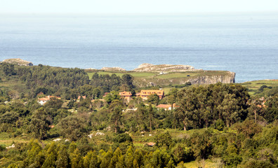 Forest in the north of Spain with the sea in the background