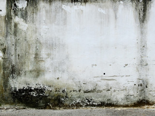 aged street wall with moss and mold texture background